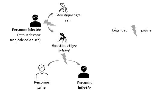 PIQÜRE MOUSTIQUE
